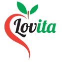 logo Lov Ita